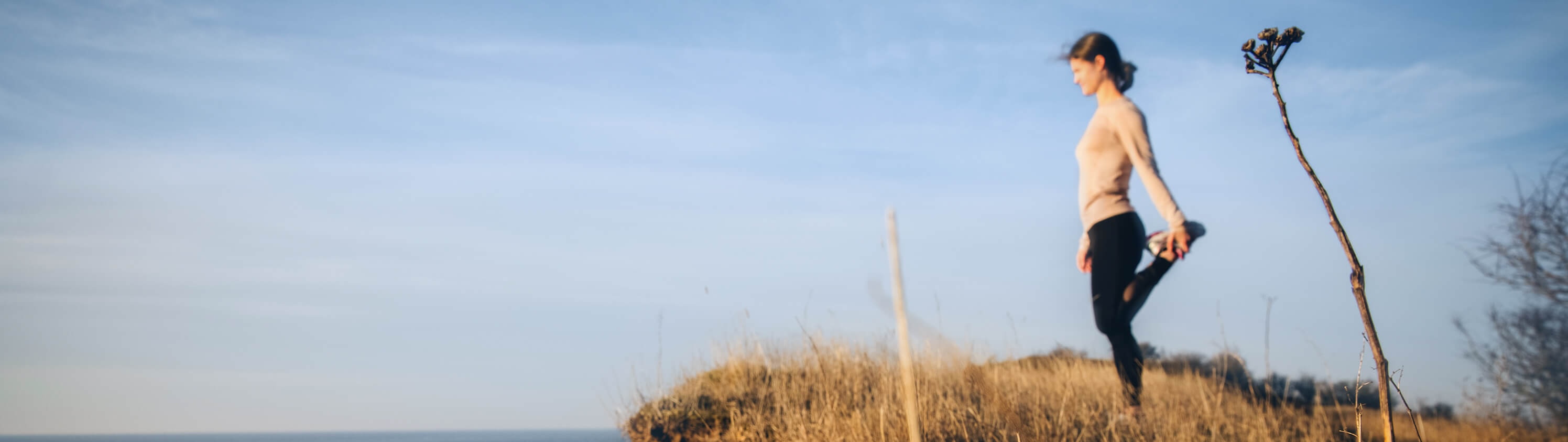 Affärsområde Topp